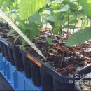 자원개발연구소 이미지