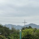 늘푸른 | 창원 늘푸른전당 겹벚꽃 후기｜포토존 위치, 주차장, 가는 길까지 총정리