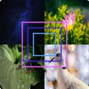 크린토피아남청주지사 이미지