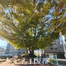 지에스(GS)25효창센터포레 | 양주캠핑식당 아이들과 가기 좋은 느티포레