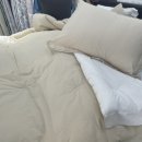 레노마홈부산