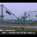 광선축사 네이버블로그