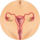 수원제일산부인과의원 이미지