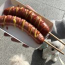 뜨락엔햇살 이미지