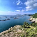 제140차 완도 동망산 명품 생태숲길과 바다풍경 탐방 이미지