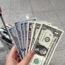 보드랍개 | 보홀 여행 #1-2일차(2터미널 주차, 위스키 입국신고, 몰리리조트, 툭툭이 가격)