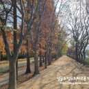 도리정원 이미지