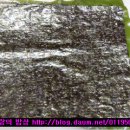 다시마초밥 Daum카페