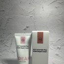 Amimong(아미몽) | [재생크림] 아미몽 EGF크림 사용 후기 리뷰