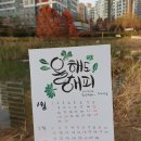 에코식물 생태도감 이미지