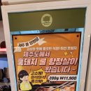 꼰돼지