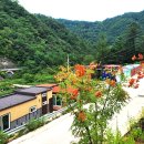 바람부리 별밤 캠핑장 이미지