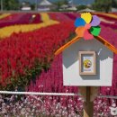 고석정광장 이미지