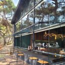 트리팜(TreeFarm)