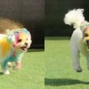 분도유치원 이미지