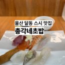 총각네초밥 이미지