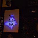 프시케 | 대전 갈마동 혼술바 프시케 다녀온 후기