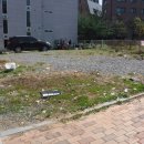 소하중학교 앞 이미지