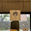 송포목장 | 익산 어양동 맛집 | 벌꿀 아이스크림, 바움쿠헨, 한옥디저트카페 - [더블유하우스]