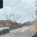 하동공설시장 | 경주 하동저수지, 불국사 근처 카페 '브레스커피웍스' 연휴 후기, 웨이팅, 주차