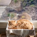 스타렌트카 (김포영업소) | 베프랑 2박3일 제주동쪽여행 @1