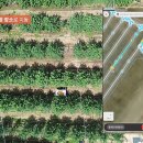 인식농장 이미지