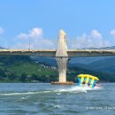 포레스트모가 이미지