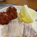 스타벅스대전만년점 | [대전] 성심당 귤시루💕/만배아리랑/다리위오징어/페리카나 등..