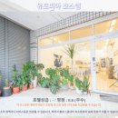 유토피아가족호텔 | 타이둥 여행 추천! 유토피아 호스텔 후기: 꿈같은 휴식을 선물하다