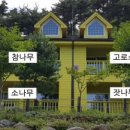 검봉산 자연휴양림 네이버블로그