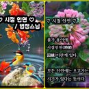 시절인연(時節因緣) / 법정스님 이미지