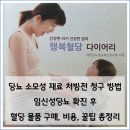 임신성 당뇨 소모성 재료 처방전 청구 방법, 구매, 비용, 꿀팁 총정리