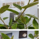 정성한방병원 이미지