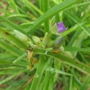 행정용 29 이미지