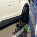 최희정내과의원 이미지