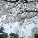 행운캔넬 | 다음주부터 다시 블챌 시작이래