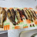 대부리 방파제 옆 이미지