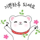 권동물병원 이미지