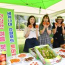 친환경 토마토 이미지