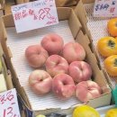 유일공간 네이버블로그