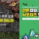 피그캠