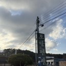 토담황토방모텔 | 양양 애견 동반 가능한 캠핑장 토담글램핑&amp;펜션 방문 후기