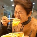 맛터 더쎈뉴스