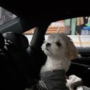 글램펜션(2) 이미지