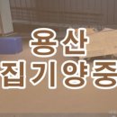 에스제이롯데백화점