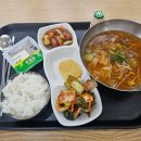경희대학교 법학전문대학원 | 2025년 봄(4월)부터 초여름(5월)의 일기