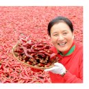 악바리농장