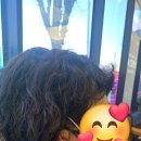 에바다보청기 | 편측난청 상담받고 온 인천 보청기 에바다보청기 방문 후기