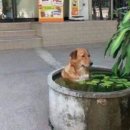 남원녹주사우나 이미지