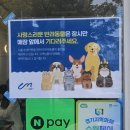 수원-0635 네이버블로그